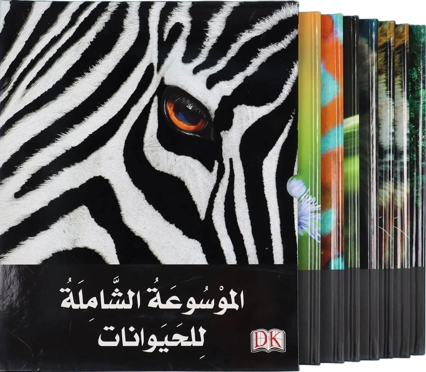 صورة المنتج 1