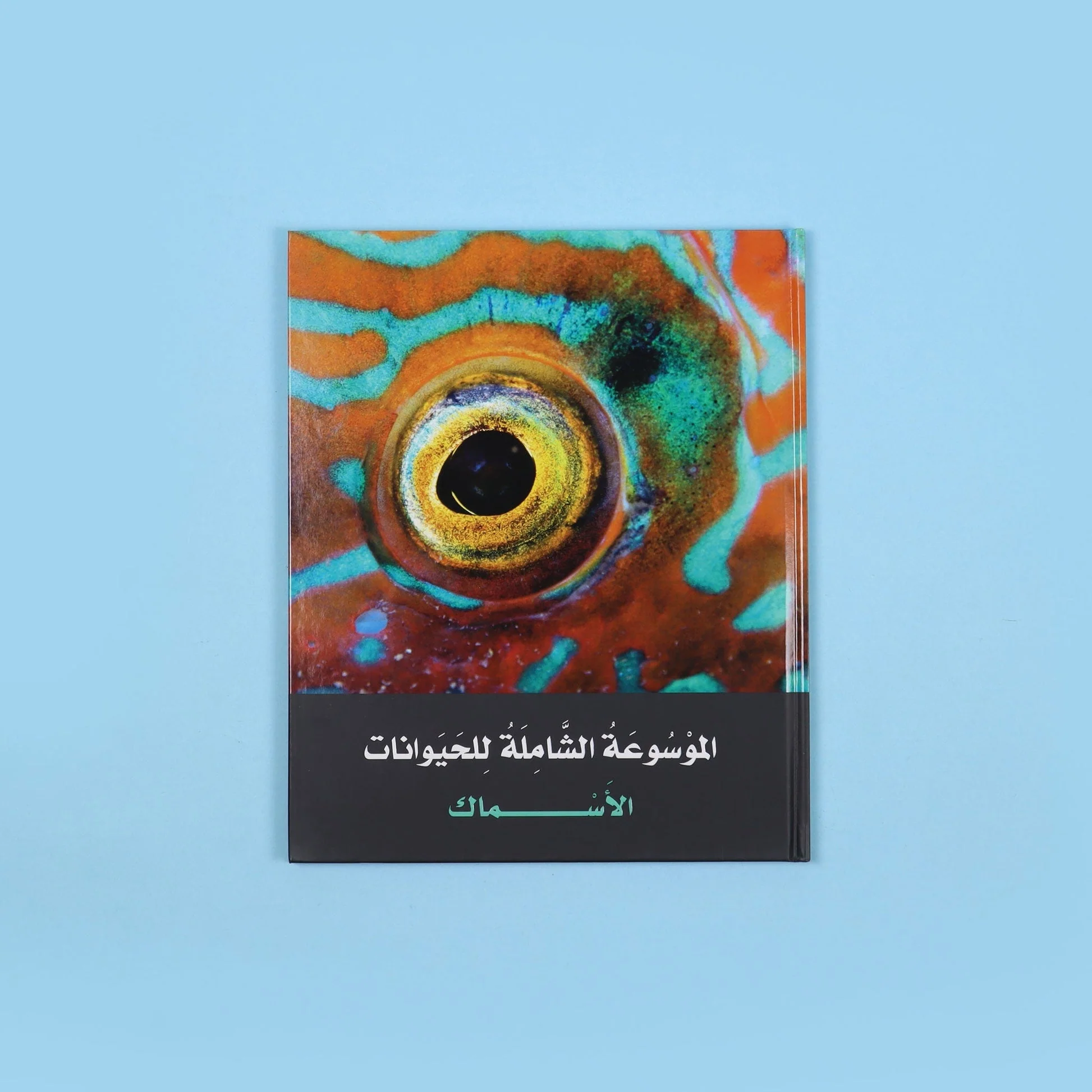 صورة المنتج 6