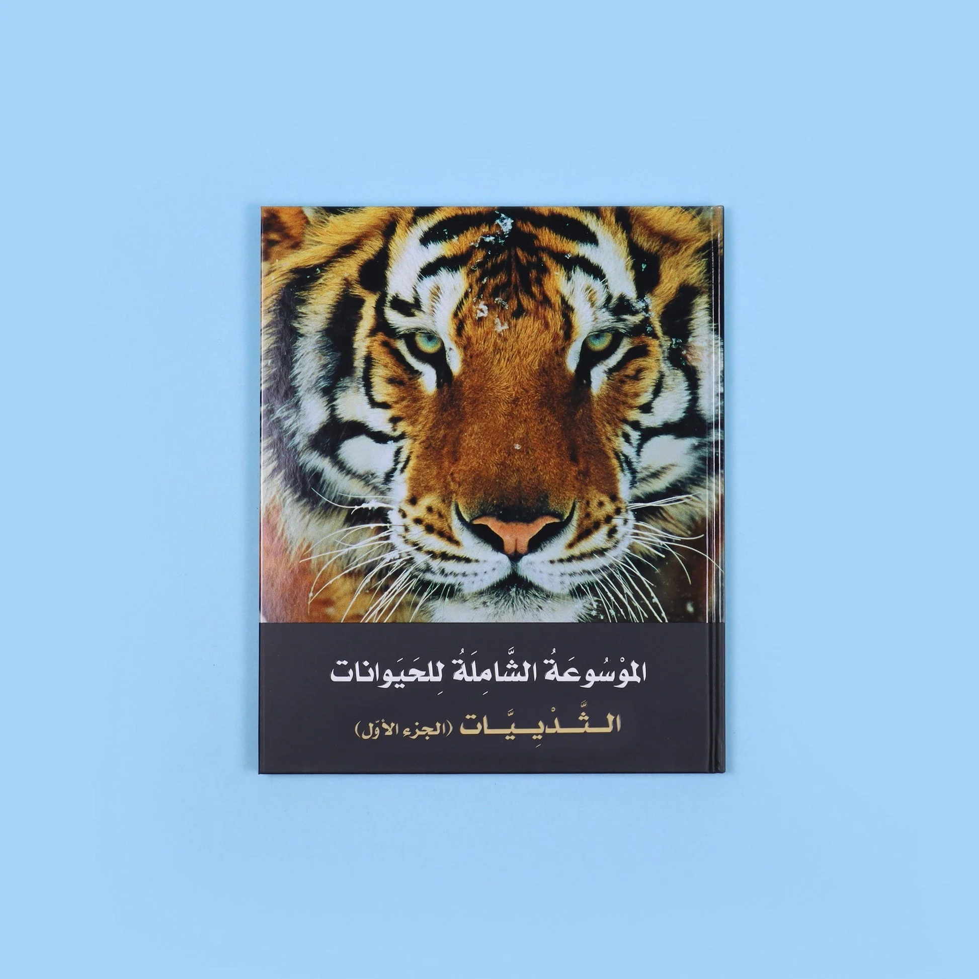 صورة المنتج 9