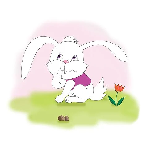 صورة المنتج 12