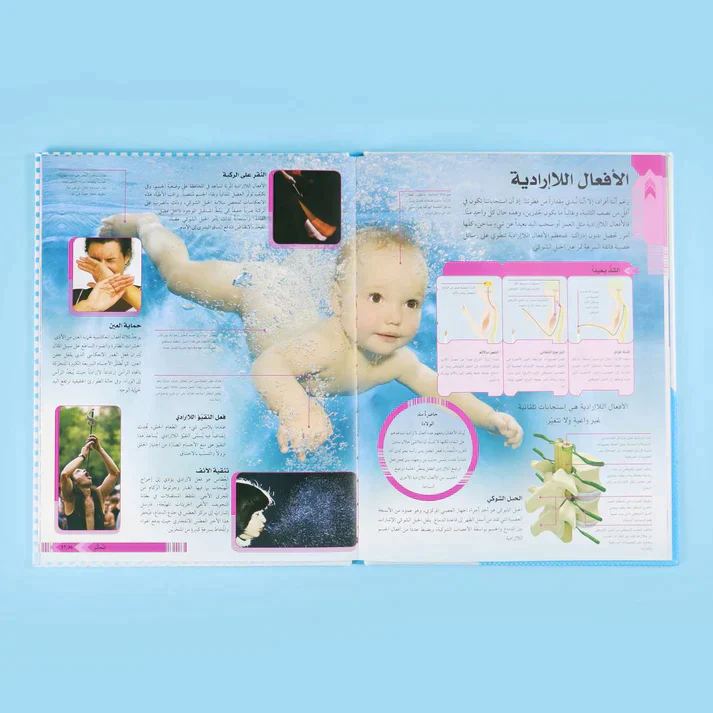 صورة المنتج 2