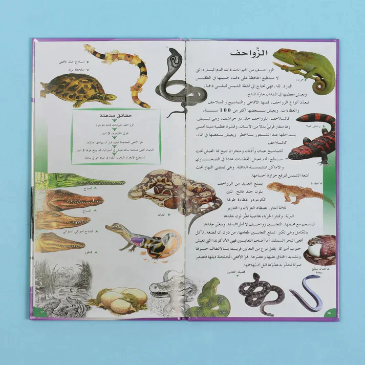 صورة المنتج 18