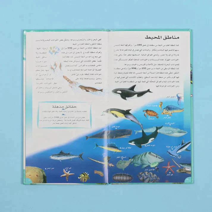 صورة المنتج 21