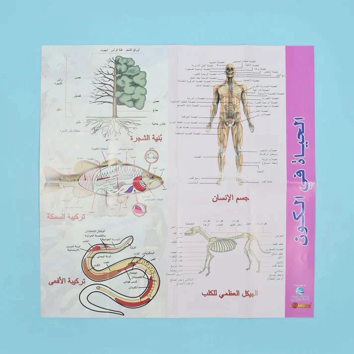 صورة المنتج 33