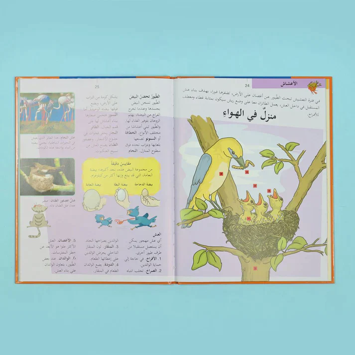 صورة المنتج 25