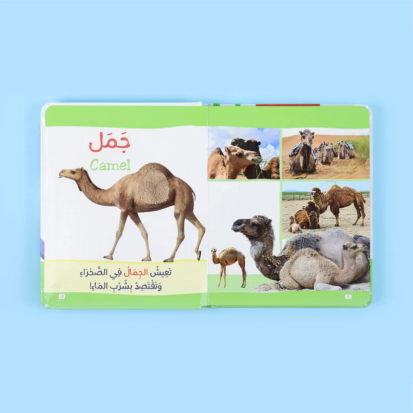 صورة المنتج 7