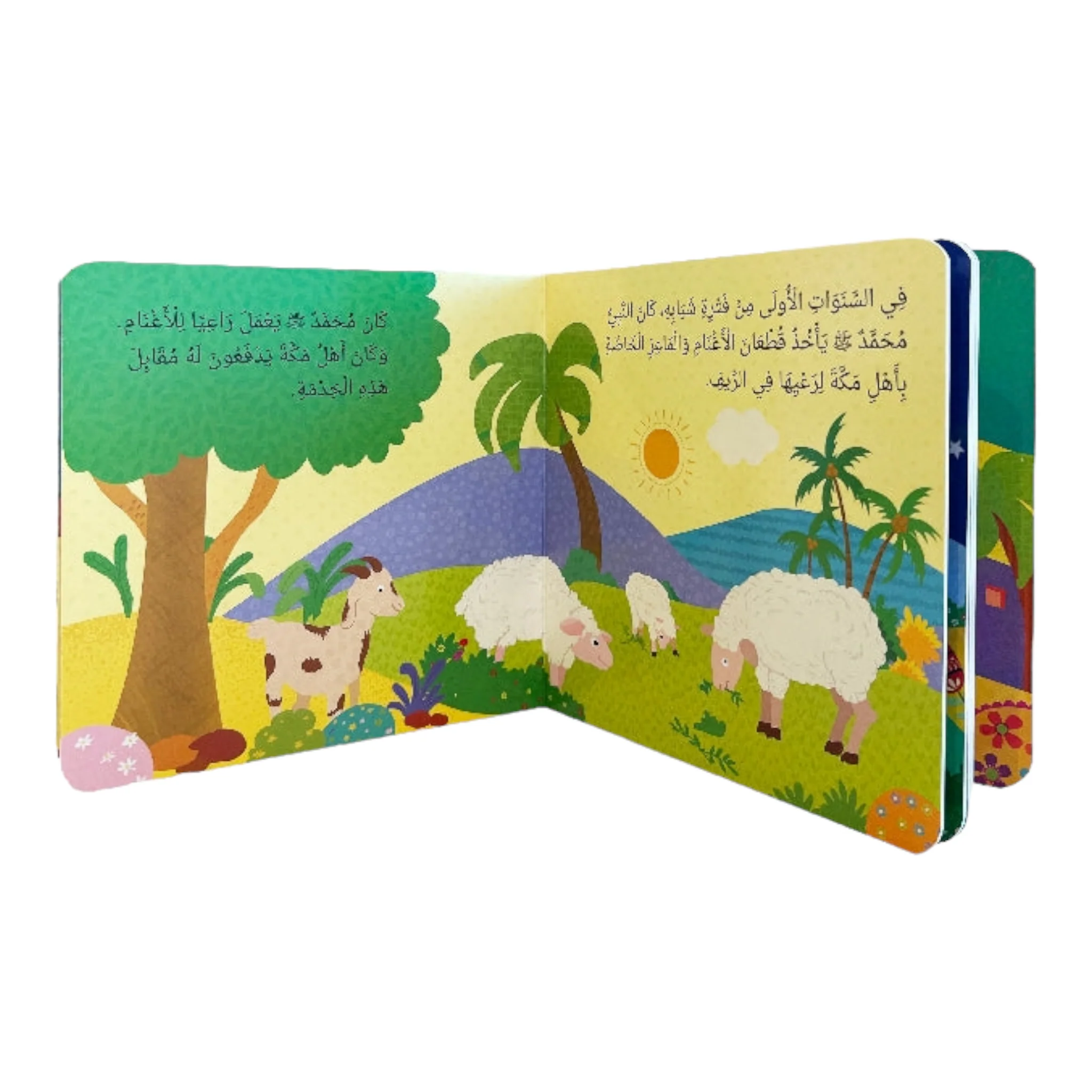صورة المنتج 5