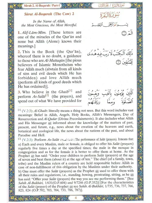 صورة المنتج 5