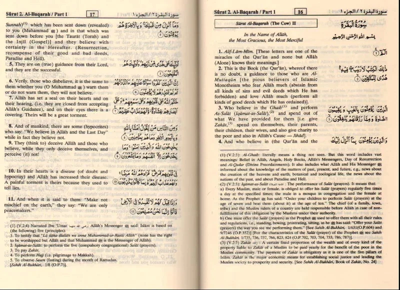صورة المنتج 2