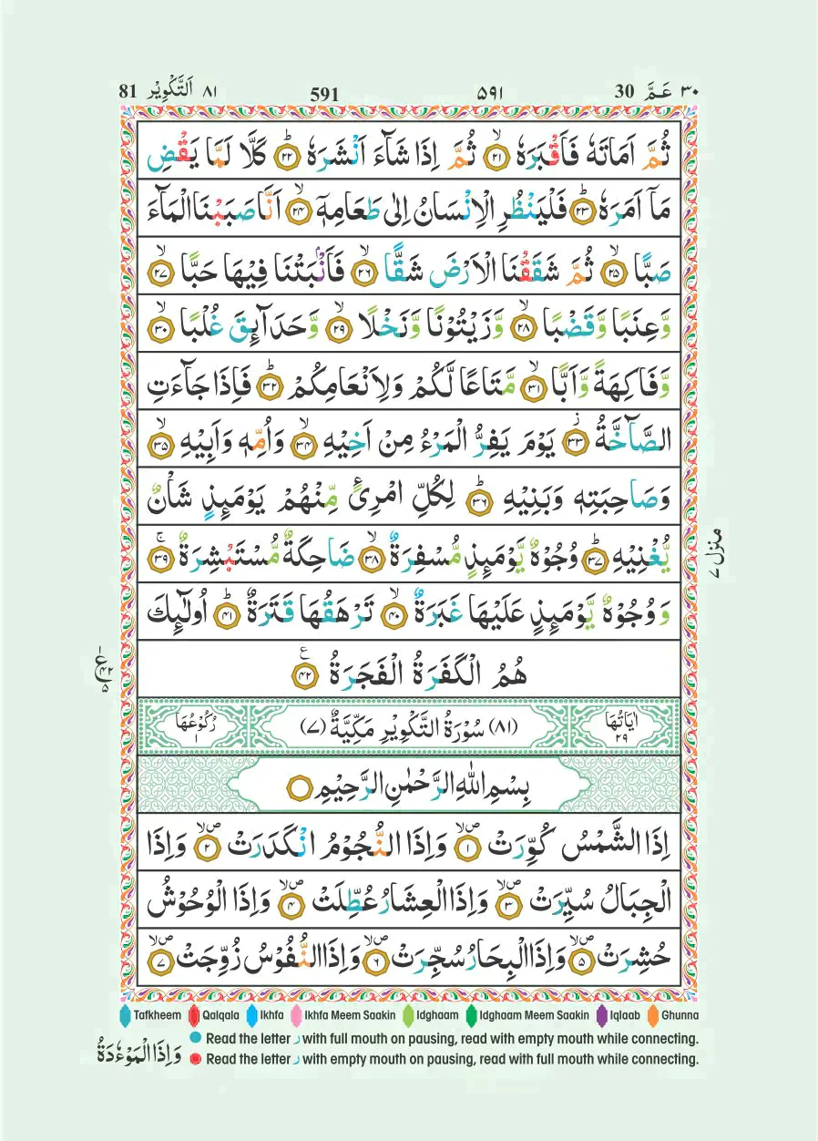 صورة المنتج 6